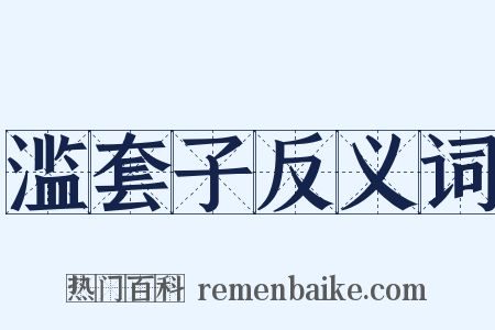 滥套子反义词是什么意思的图片